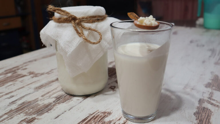 kefir